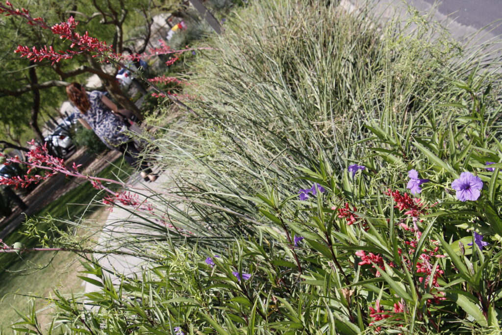 A mother takes her child in a stroller for a walk May 5. Whether it's time together, flowers, prayers or a token item, all mothers are honored in special ways on Mother's Day, which is May 10 this year. (Ambria Hammel/CATHOLIC SUN)