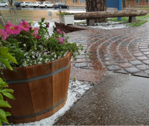 Sleet on graduation day in Flagstaff May 8. (@naumewman photo)