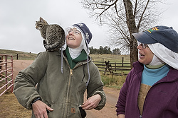 Sr. Maria Gertrude and Sr. Maria Walburga Schortemeyer, ranch manager, play with Shakespeare, one of five abbey cats, in late March at the Abbey of St. Walburga in Virginia Dale, Colo. (CNS photo/Jim West)