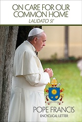 This is the cover of the English edition of Pope Francis' encyclical on the environment, "Laudato Si', on Care for Our Common Home." The long-anticipated encyclical was released at the Vatican June 18. (CNS photo/courtesy U.S. Conference of Catholic Bishops) 