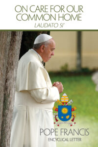 This is the cover of the English edition of Pope Francis' encyclical on the environment, "Laudato Si', on Care for Our Common Home." The long-anticipated encyclical was released at the Vatican June 18. (CNS photo/courtesy U.S. Conference of Catholic Bishops)