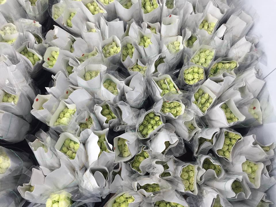 One dozen Fleur Africa White Sweetheart roses are free from Arizona Flower Market in exchange for a new toy or five cans of food for the Society of St. Vincent de Paul. All roses are Fairtrade and Rainforest Certified. (courtesy photo)