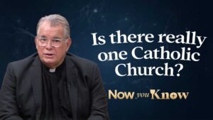 Have you ever wondered if there is really one Catholic Church?